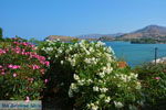 Myrina Limnos (Lemnos) | Greece Photo 46 - Photo JustGreece.com