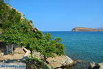 Myrina Limnos (Lemnos) | Greece Photo 61 - Photo JustGreece.com