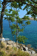 JustGreece.com Myrina Limnos (Lemnos) | Greece Photo 73 - Foto van JustGreece.com