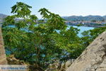 Myrina Limnos (Lemnos) | Greece Photo 74 - Photo JustGreece.com