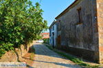 JustGreece.com Pedino near Nea Koutali Limnos (Lemnos) | Photo 3 - Foto van JustGreece.com