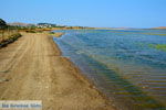 JustGreece.com Pedino near Nea Koutali Limnos (Lemnos) | Photo 9 - Foto van JustGreece.com