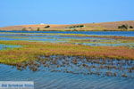 JustGreece.com Pedino near Nea Koutali Limnos (Lemnos) | Photo 10 - Foto van JustGreece.com