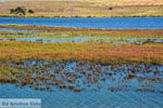 JustGreece.com Pedino near Nea Koutali Limnos (Lemnos) | Photo 11 - Foto van JustGreece.com