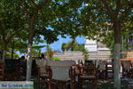 Platy Limnos (Lemnos) | Greece Photo 9 - Photo JustGreece.com
