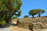 JustGreece.com Poliochni Limnos (Lemnos) | Greece | Photo 22 - Foto van JustGreece.com