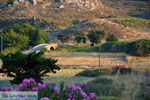 JustGreece.com Near Porto Myrina Limnos (Lemnos) | Greece Photo 20 - Foto van JustGreece.com