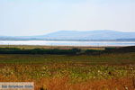 From Panagia to Kontopouli Limnos (Lemnos) Photo 15 - Photo JustGreece.com