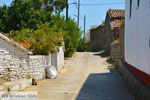 JustGreece.com Skandali Limnos (Lemnos) | Greece Photo 14 - Foto van JustGreece.com