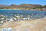 JustGreece.com Beaches Thanos Limnos (Lemnos) | Greece Photo 12 - Foto van JustGreece.com