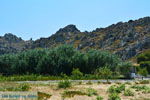 JustGreece.com Beaches Thanos Limnos (Lemnos) | Greece Photo 33 - Foto van JustGreece.com