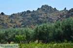 JustGreece.com Beaches Thanos Limnos (Lemnos) | Greece Photo 34 - Foto van JustGreece.com