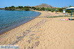 JustGreece.com Myrina Limnos (Lemnos) | Greece Photo 77 - Foto van JustGreece.com