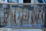 JustGreece.com Adamas Milos | Cyclades Greece | Photo 27 - Foto van JustGreece.com