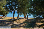 Papikinou-beach Adamas Milos | Cyclades Greece | Photo 17 - Photo JustGreece.com
