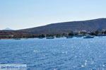 JustGreece.com Pollonia Milos | Cyclades Greece | Photo 4 - Foto van JustGreece.com