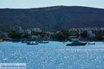 Pollonia Milos | Cyclades Greece | Photo 14 - Photo JustGreece.com