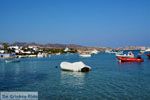 JustGreece.com Pollonia Milos | Cyclades Greece | Photo 61 - Foto van JustGreece.com