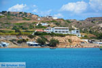 Provatas Milos | Cyclades Greece | Photo 18 - Photo JustGreece.com