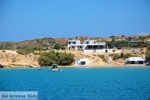 JustGreece.com Provatas Milos | Cyclades Greece | Photo 24 - Foto van JustGreece.com