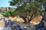 Trypiti Milos | Cyclades Greece | Photo 14 - Photo JustGreece.com