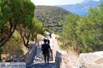 Trypiti Milos | Cyclades Greece | Photo 20 - Photo JustGreece.com