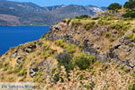 Trypiti Milos | Cyclades Greece | Photo 63 - Photo JustGreece.com