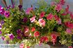 Trypiti Milos | Cyclades Greece | Photo 102 - Photo JustGreece.com
