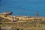 Agios Sostis Mykonos - JustGreece.com photo 16 - Photo JustGreece.com