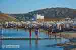 Panormos Mykonos - JustGreece.com photo 14 - Photo JustGreece.com