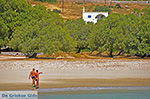 JustGreece.com Agiassos Naxos - Cyclades Greece - nr 29 - Foto van JustGreece.com