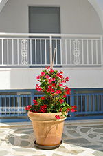 JustGreece.com Agia Anna Naxos - Cyclades Greece - nr 26 - Foto van JustGreece.com