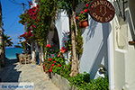 JustGreece.com Agia Anna Naxos - Cyclades Greece - nr 28 - Foto van JustGreece.com