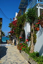 JustGreece.com Agia Anna Naxos - Cyclades Greece - nr 30 - Foto van JustGreece.com