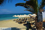 JustGreece.com Agia Anna Naxos - Cyclades Greece - nr 38 - Foto van JustGreece.com