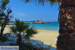 Agia Anna Naxos - Cyclades Greece - nr 39 - Photo JustGreece.com