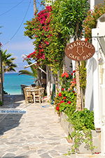 JustGreece.com Agia Anna Naxos - Cyclades Greece - nr 58 - Foto van JustGreece.com