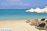 JustGreece.com Agia Anna Naxos - Cyclades Greece - nr 68 - Foto van JustGreece.com