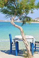 JustGreece.com Agia Anna Naxos - Cyclades Greece - nr 81 - Foto van JustGreece.com