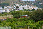 JustGreece.com Agios Arsenios Naxos - Cyclades Greece - nr 4 - Foto van JustGreece.com