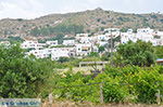 JustGreece.com Agios Arsenios Naxos - Cyclades Greece - nr 15 - Foto van JustGreece.com