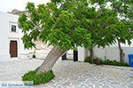 JustGreece.com Agios Arsenios Naxos - Cyclades Greece - nr 26 - Foto van JustGreece.com