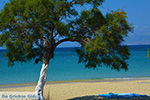 Agios Prokopios Naxos - Cyclades Greece - nr 26 - Photo JustGreece.com