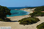 Alyko Naxos - Cyclades Greece - nr 56 - Photo JustGreece.com