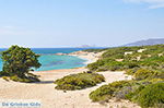 Alyko Naxos - Cyclades Greece - nr 60 - Photo JustGreece.com