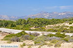 Alyko Naxos - Cyclades Greece - nr 65 - Photo JustGreece.com