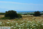Alyko Naxos - Cyclades Greece - nr 70 - Photo JustGreece.com