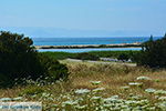 Alyko Naxos - Cyclades Greece - nr 71 - Photo JustGreece.com