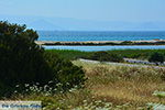 Alyko Naxos - Cyclades Greece - nr 73 - Photo JustGreece.com