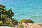 Alyko Naxos - Cyclades Greece - nr 76 - Photo JustGreece.com